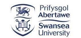 Swansea University